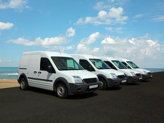 white vans
