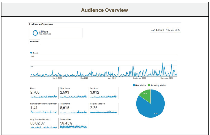 TOG Audience Overview