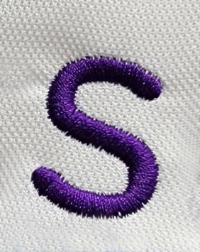 purple embroidered S