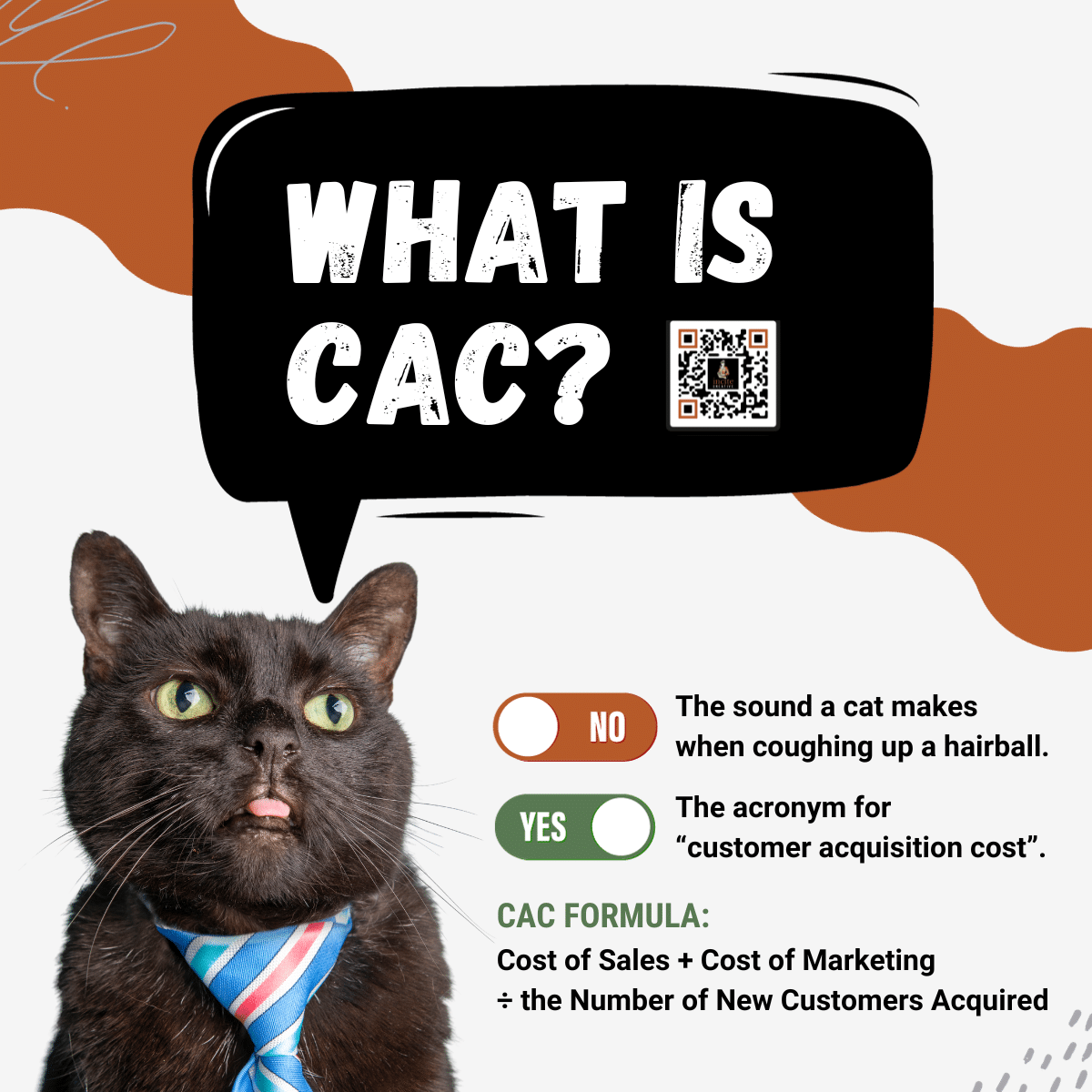 Picture of a cat with a caption that says what is CAC.